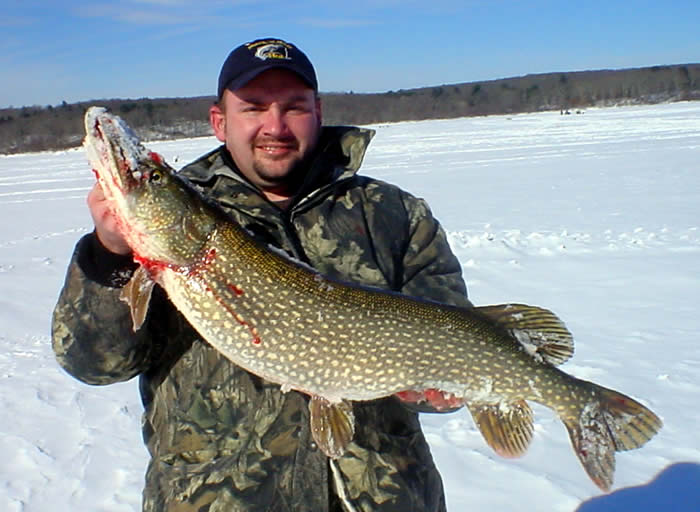 North Jersey Northern Pike image