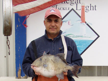 NJ State Record Tirggerfish Caught by Ron Pires