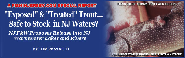 NJ Trout...Safe to Stock? Image