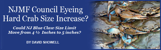 David Showell on Possible Hard Crab Size Increase Feature Article