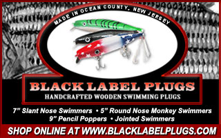 Click to Shop at BlackLabelPlugs.com!