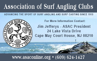 Click to visit the Association of Surf Angling Clubs Web Site