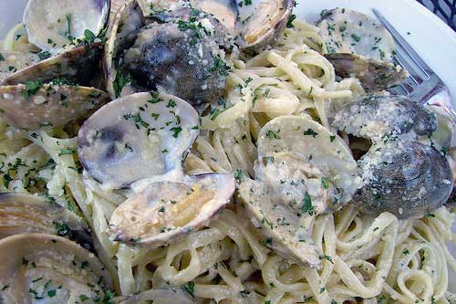 Clams in White Sauce Image